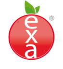 Exa-Foods